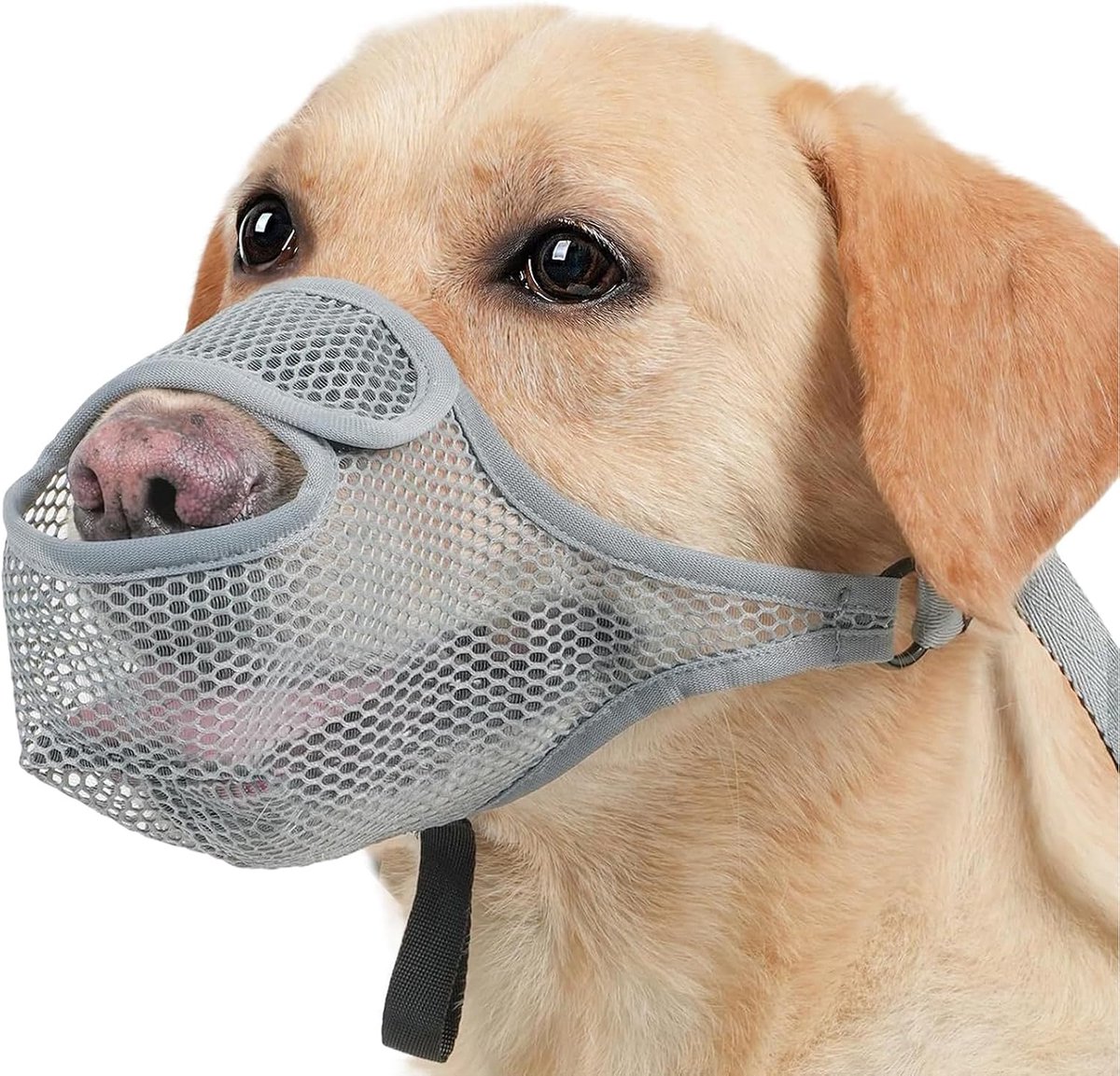 Mesh-muilkorf - Muilkorf Honden - Zachte mesh-muilkorf - Nylon mesh muilkorf - ademende hondenmuilkorf - Verstelbare Mesh Muilkorf - voorkomt eten, bijten, blaffen - grijs, Maat XXL