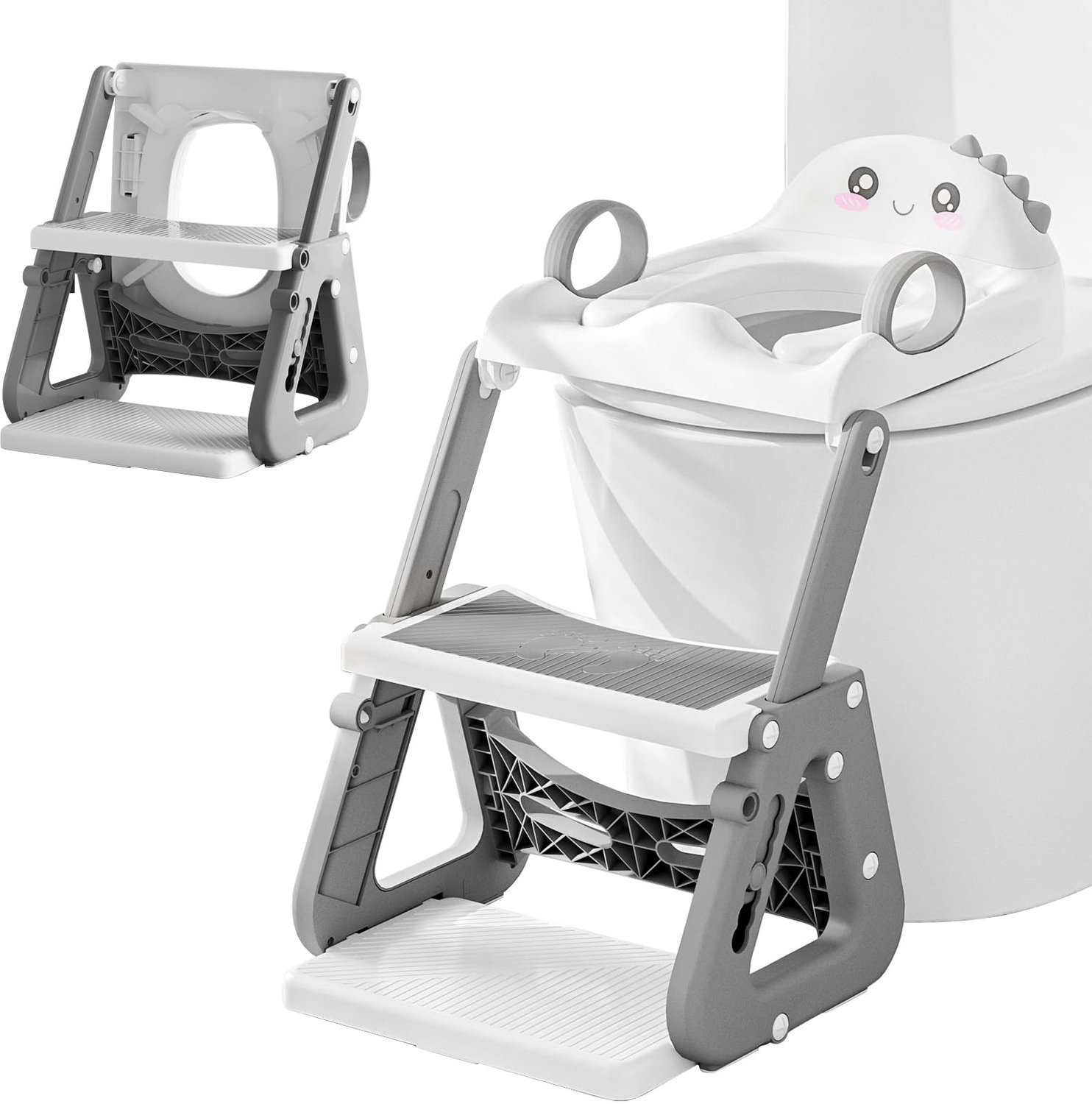 2-in-1 Toilet Bril voor Potty Training met Ladder