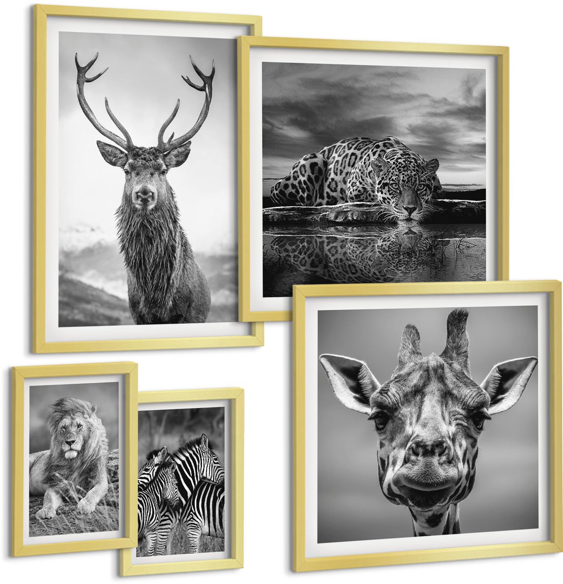 Coloray 5-Delige Schilderij Set - Dieren In Zwart-Wit Uit De Natuur En Het Wild. - 50 x 50 cm, 20 x 30 cm En 40 x 60 cm - Muurdecoratie - Decoratieve Schilderijen - Wohnzimmer - Moderne Wanddecoratie