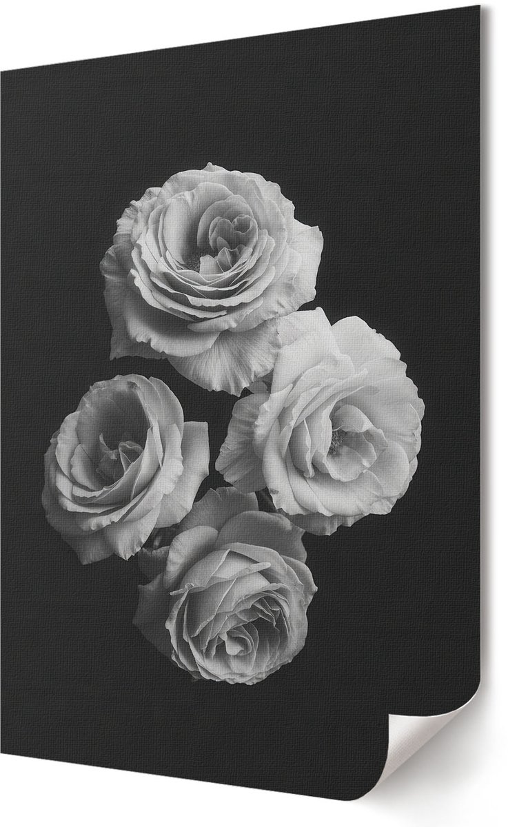Coloray Polycanvas Wandposter - Boswinter, Fotografie - A3 - Wit Illustratie - Rechthoek - Canvasposter - Woonkamer, Slaapkamer, Kantoor - Klassiek