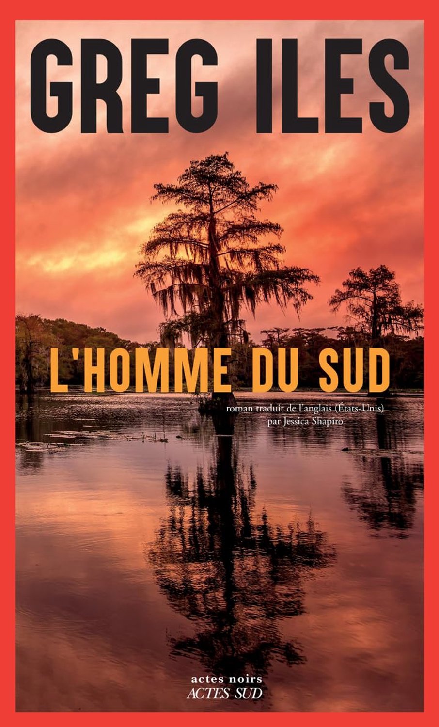 Boek L'Homme du Sud