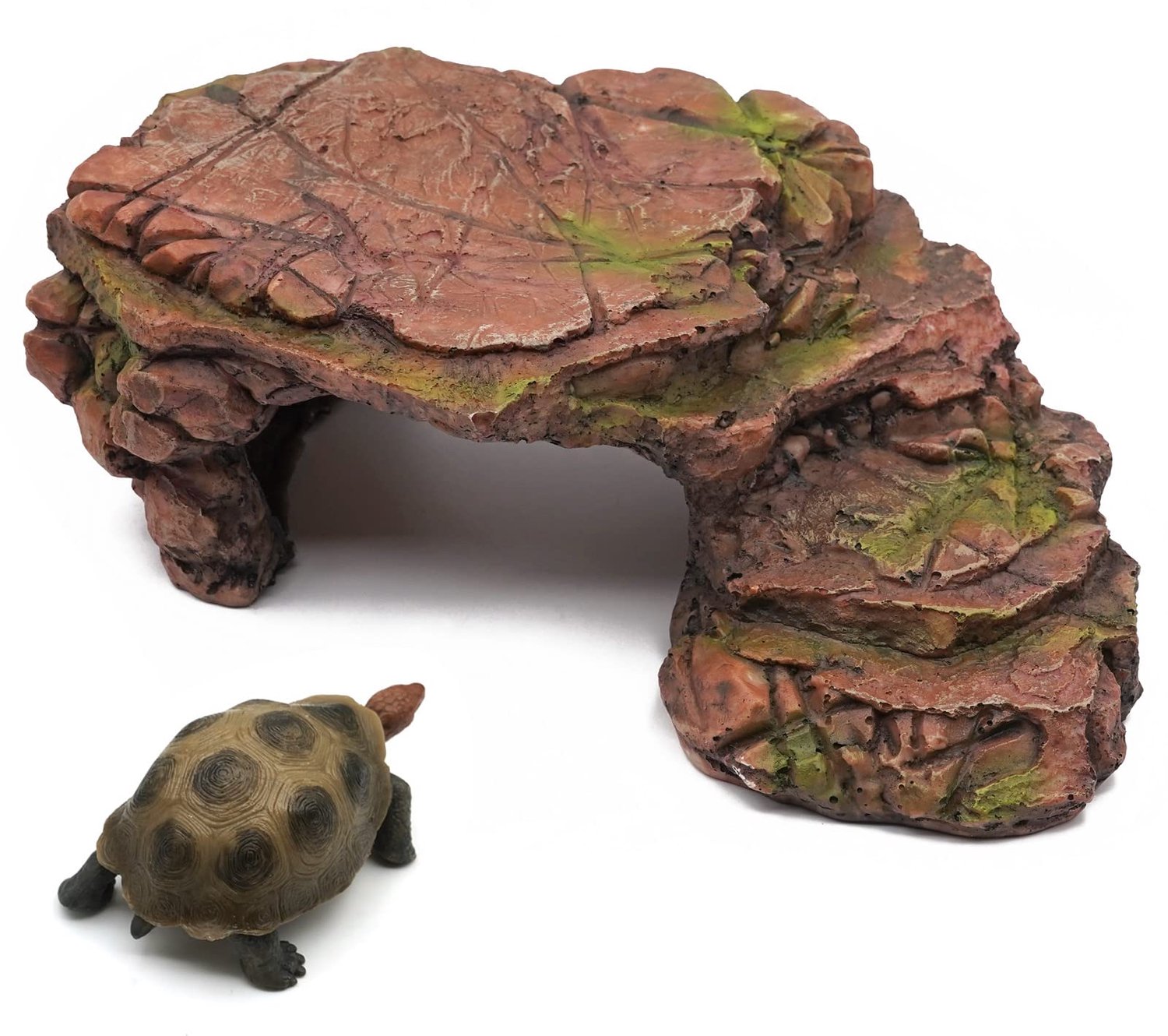 Reptielen Schuilplaats voor Schildpadden en Hagedissen