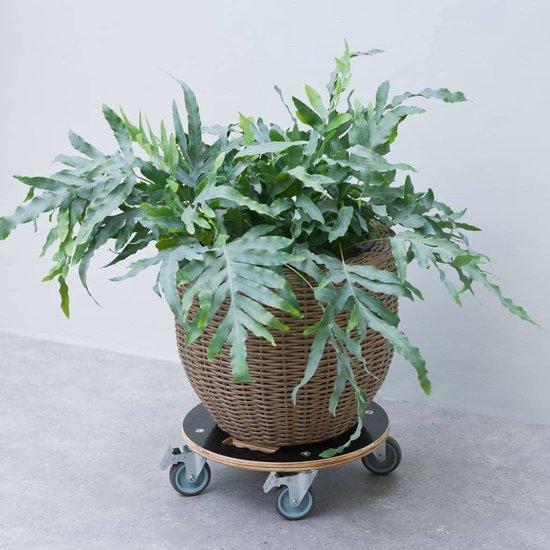 Foto: Nature planttrolley met wieltjes 38cm hout zwart