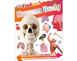 DKfindout Human Body