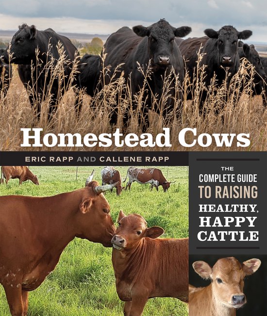 Homestead Cows - cover