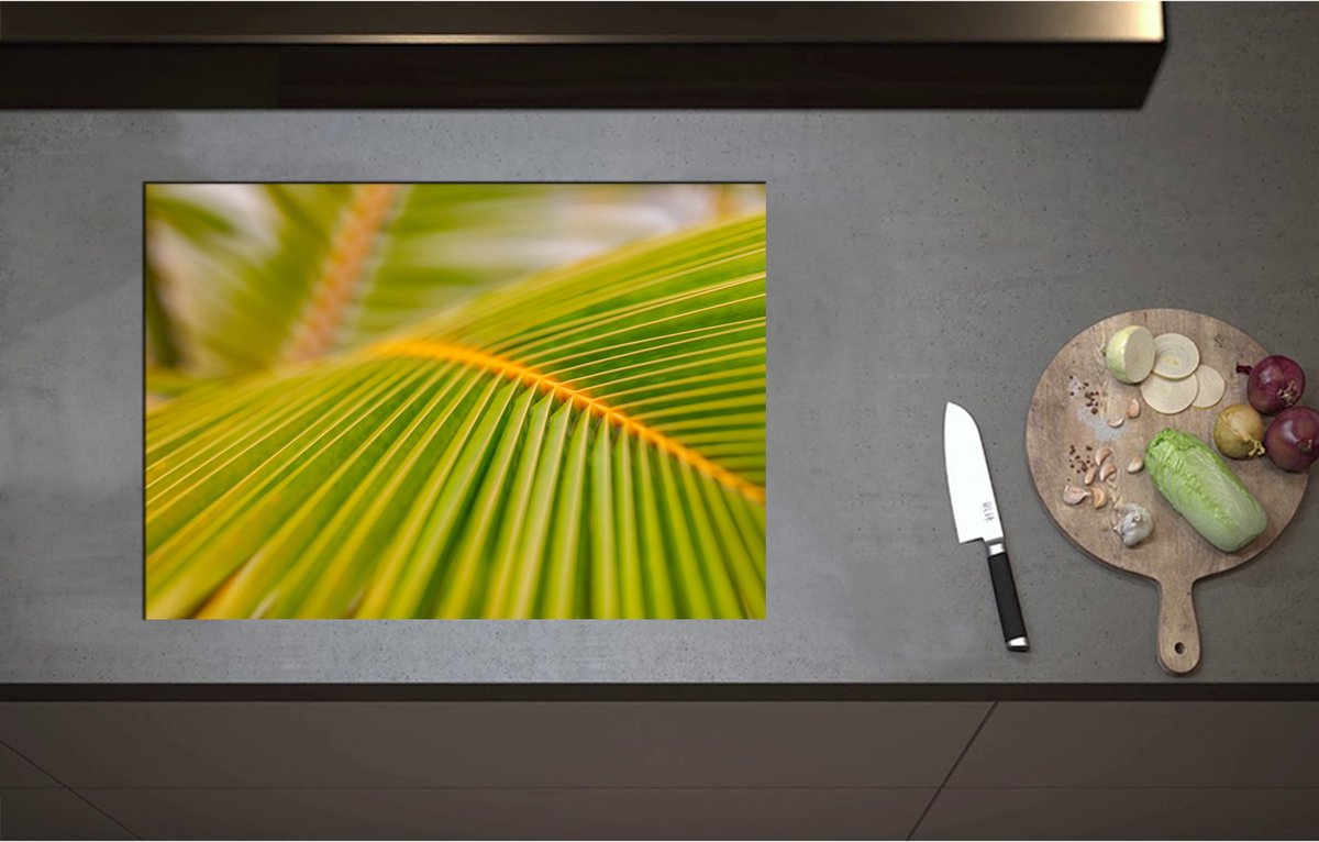 Inductieplaat Beschermer - Close-up op de Nerven van een Groot Palmblad - 71x50 cm - 2 mm Dik - Inductie Beschermer - Bescherming Inductiekookplaat - Kookplaat Beschermer van Zwart Vinyl