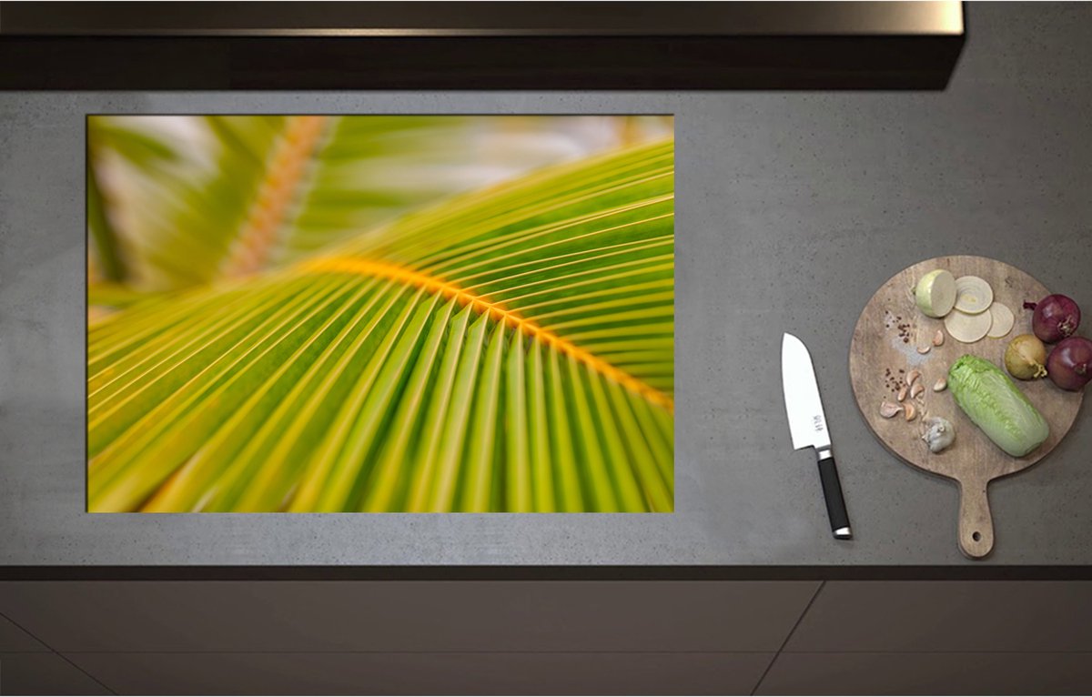 Inductieplaat Beschermer - Close-up op de Nerven van een Groot Palmblad - 80x55 cm - 2 mm Dik - Inductie Beschermer - Bescherming Inductiekookplaat - Kookplaat Beschermer van Wit Vinyl