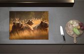 Inductieplaat Beschermer - Bruine beren in bruin gekleurd hoog gras - 70x51 cm - 2 mm Dik - Inductie Beschermer - Bescherming Inductiekookplaat - Kookplaat Beschermer van Zwart Vinyl