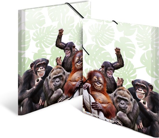 HERMA Monkey gang, Chemise adhésive conventionnelle, A3, Polypropylène (PP), Multicolore, Bande élastique, 335 mm