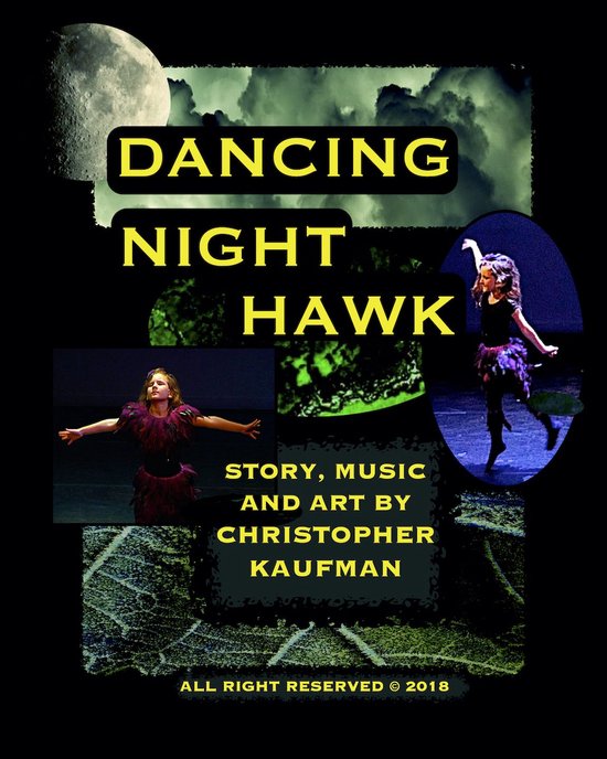 Dancing Night Hawk - cover