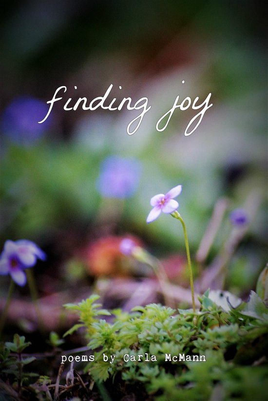 Finding Joy - cover
