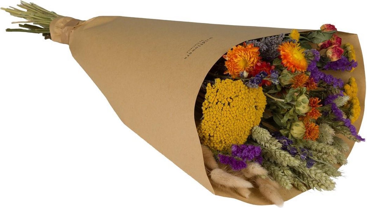 Green Harmony Droogbloemen Field Bouquet Large Orange 60cm