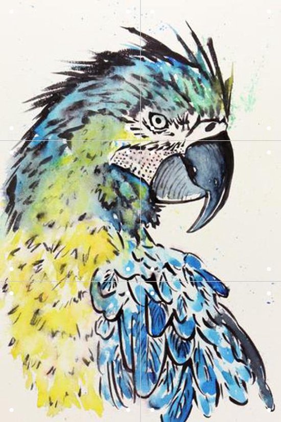 IXXI The Blue Macaw Parrot - Wanddecoratie - Artiesten en Schilders - 40 x 60 cm