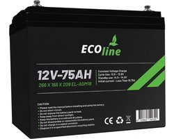 EcoLine - AGM 12V 75AH - 75000mAh VRLA Batterij - 260 x 169 x 214 - Deep Cycle Accu.