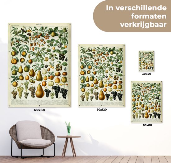 Affiche de jardin Fruit - Poire - Raisin - 90x120 cm
