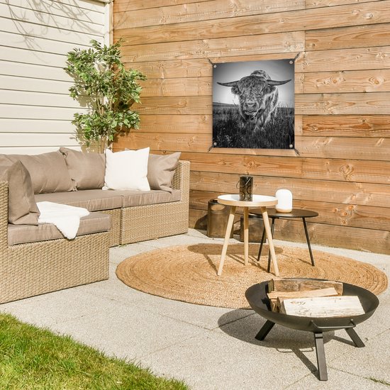 Close-up Scottish Highlander en affiche de jardin noir et blanc, toile lâche