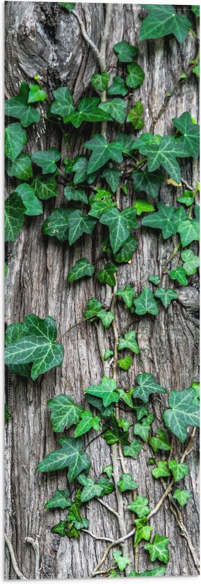 Vlag - Boom - Stam - Begroeid - Planten - Bladeren - Groen - 20x60 cm Foto op Polyester Vlag
