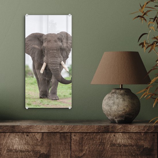 MuchoWow® Peinture sur verre 20x40 cm - Peinture sur verre acrylique - Éléphant - Animaux - Herbe - Nature - Photo sur verre - Peintures