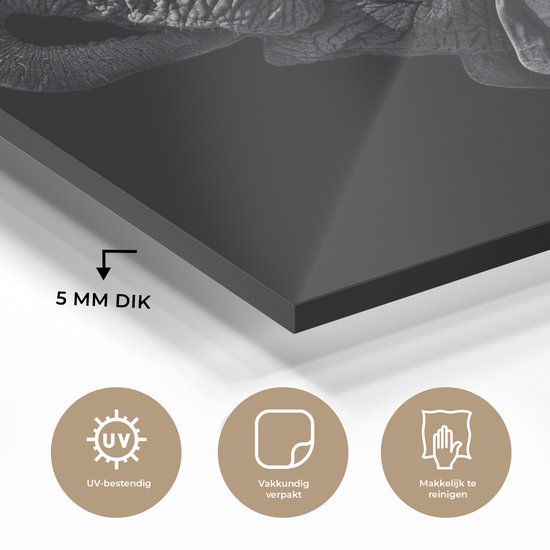 MuchoWow® Peinture sur verre - Éléphant - Animaux - Zwart - Nature - 90x60 cm - Peintures sur verre acrylique - Photo sur Glas