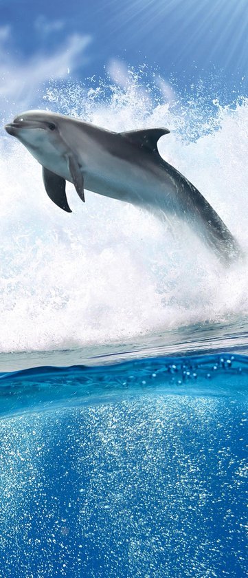 Deursticker Muursticker Dolfijn | Blauw | 91x211cm