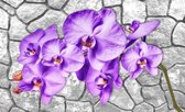 Flowers Orchids Texture Photo Wallcovering