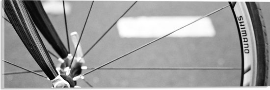 Acrylglas - Close-up van Spaken in Wiel (Zwart- wit) - 60x20 cm Foto op Acrylglas (Met Ophangsysteem)