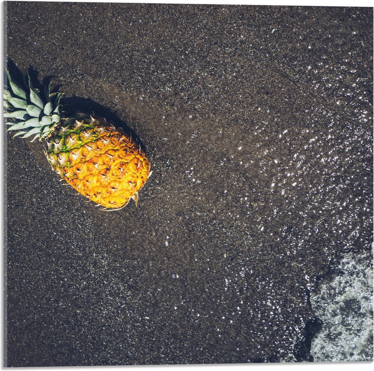 Acrylglas - Ananas op het Strand met Zee - 50x50 cm Foto op Acrylglas (Wanddecoratie op Acrylaat)