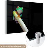 MuchoWow® Glasschilderij 30x20 cm - Schilderij acrylglas - Kikker - Dieren - Plant - Foto op glas - Schilderijen