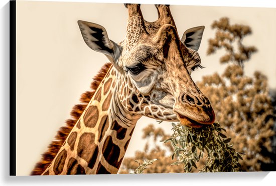 Canvas Close up van Giraffe Etend van Hoge Boom 90x60 cm Foto op Canvas Schilderij bol