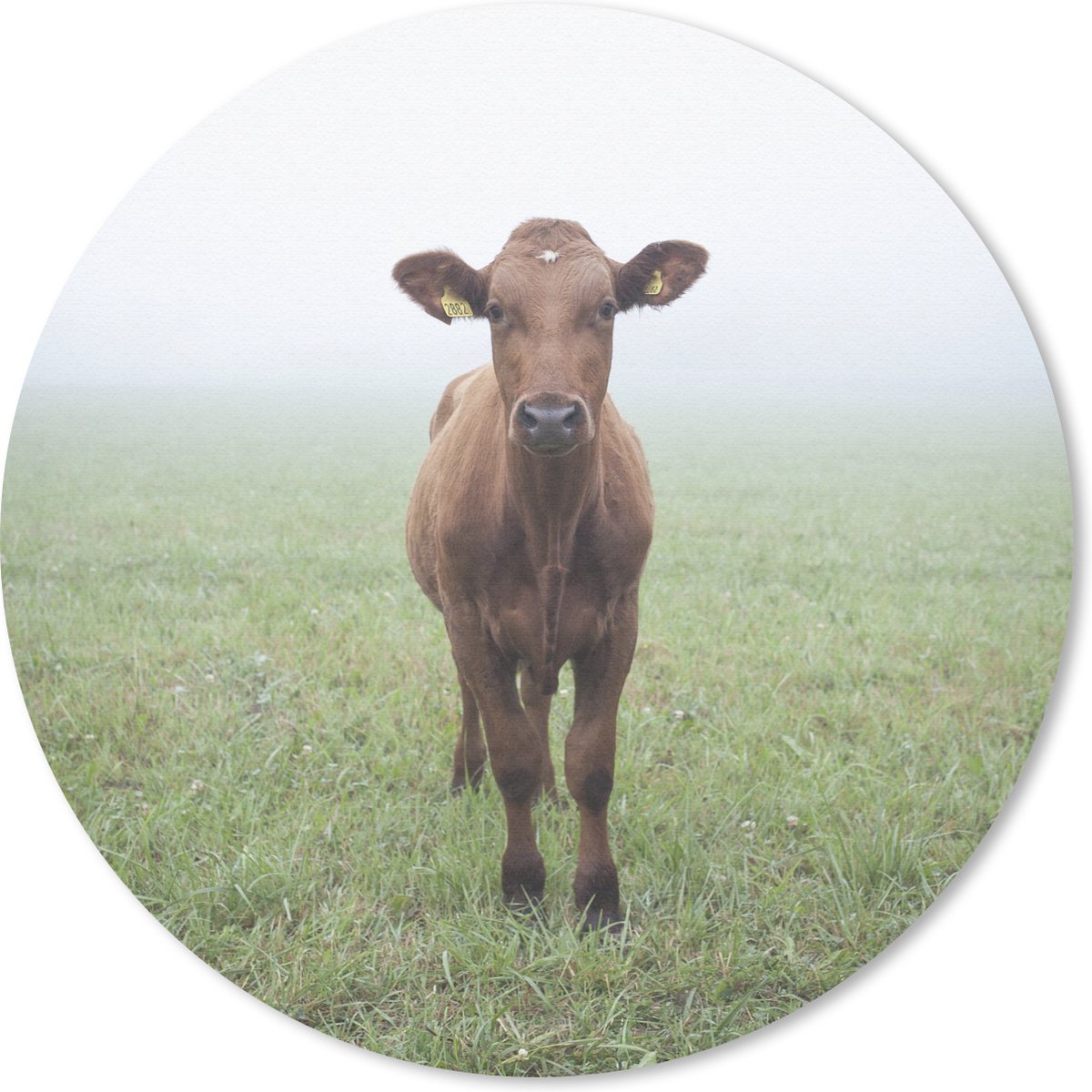 Muismat rond 40x40 cm - Mousepad Koe - Mist - Gras - Ronde muismatten