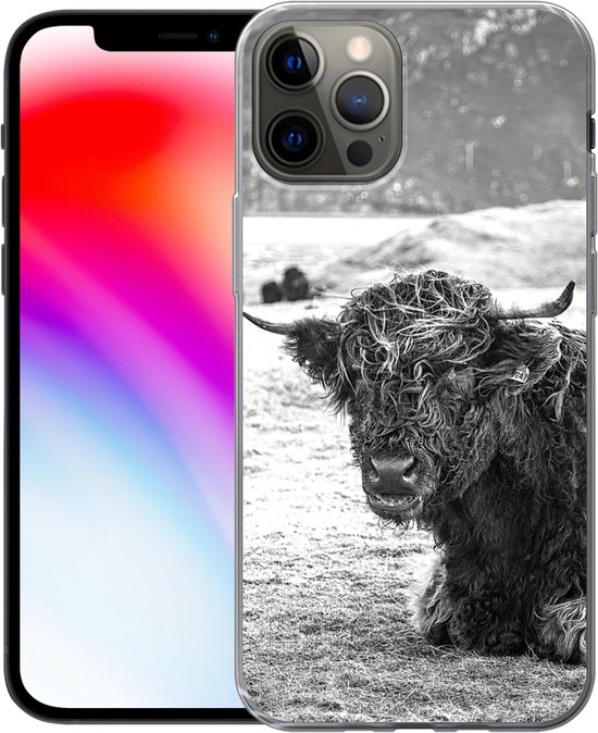 Coque iPhone 13 Pro - Highlander écossais - Berg - Animaux - Coque en Siliconen