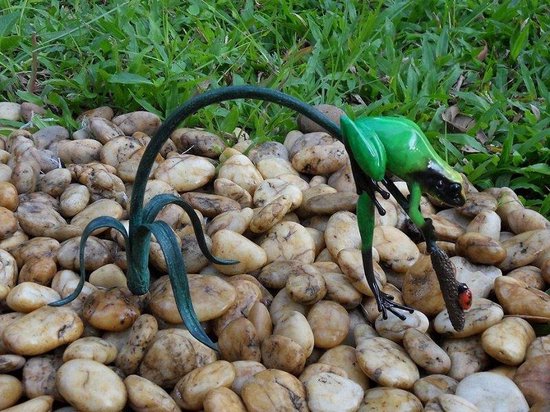 Statue de jardin - statue en bronze - Grenouille colorée sur brindille / vert - Bronzartes - hauteur 13 cm