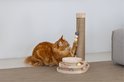 Oranje Maine Coon kat krabt aan een jute krabpaal met een speeltoren met balletjes.