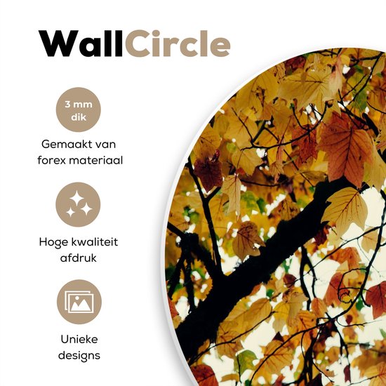 WallCircle - Wall Circle - Wall Circle Indoor - Arbres - Feuilles d'Automne - Nature - 120x120 cm - Décoration murale - Peintures Ronds XXL