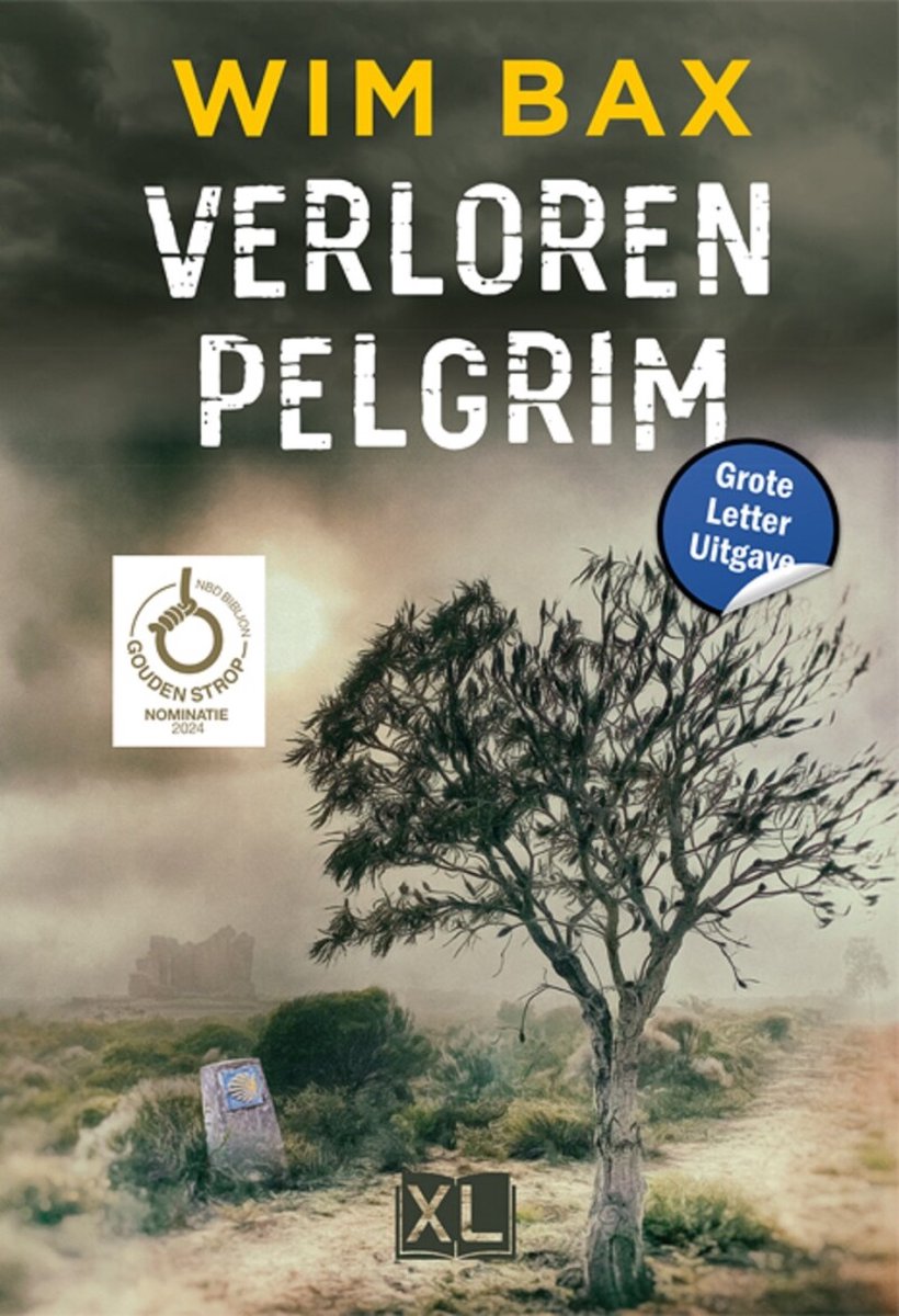 Omslag van Verloren pelgrim