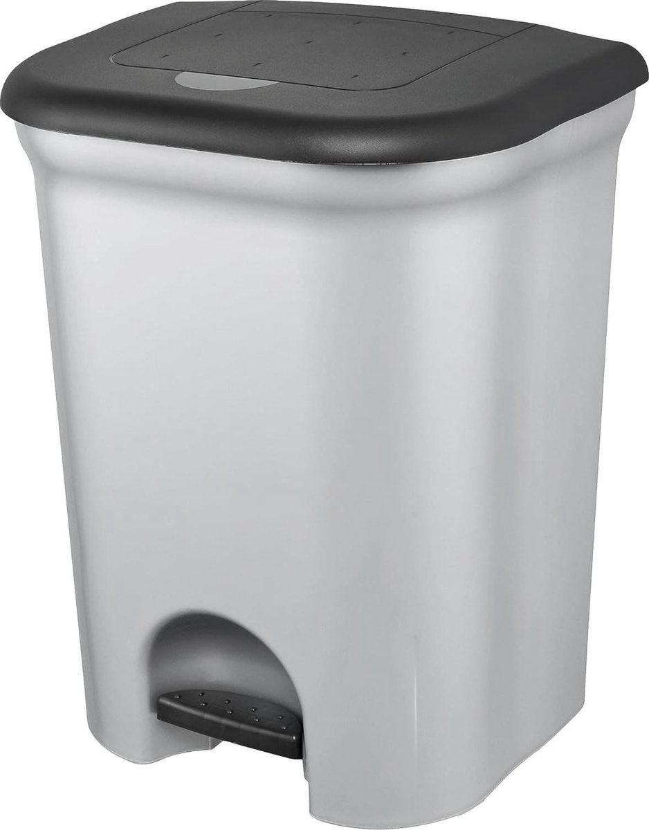 Goedkoopste Pedaalemmer met 2 compartimenten - 2x 11 liter - zilverkleurig