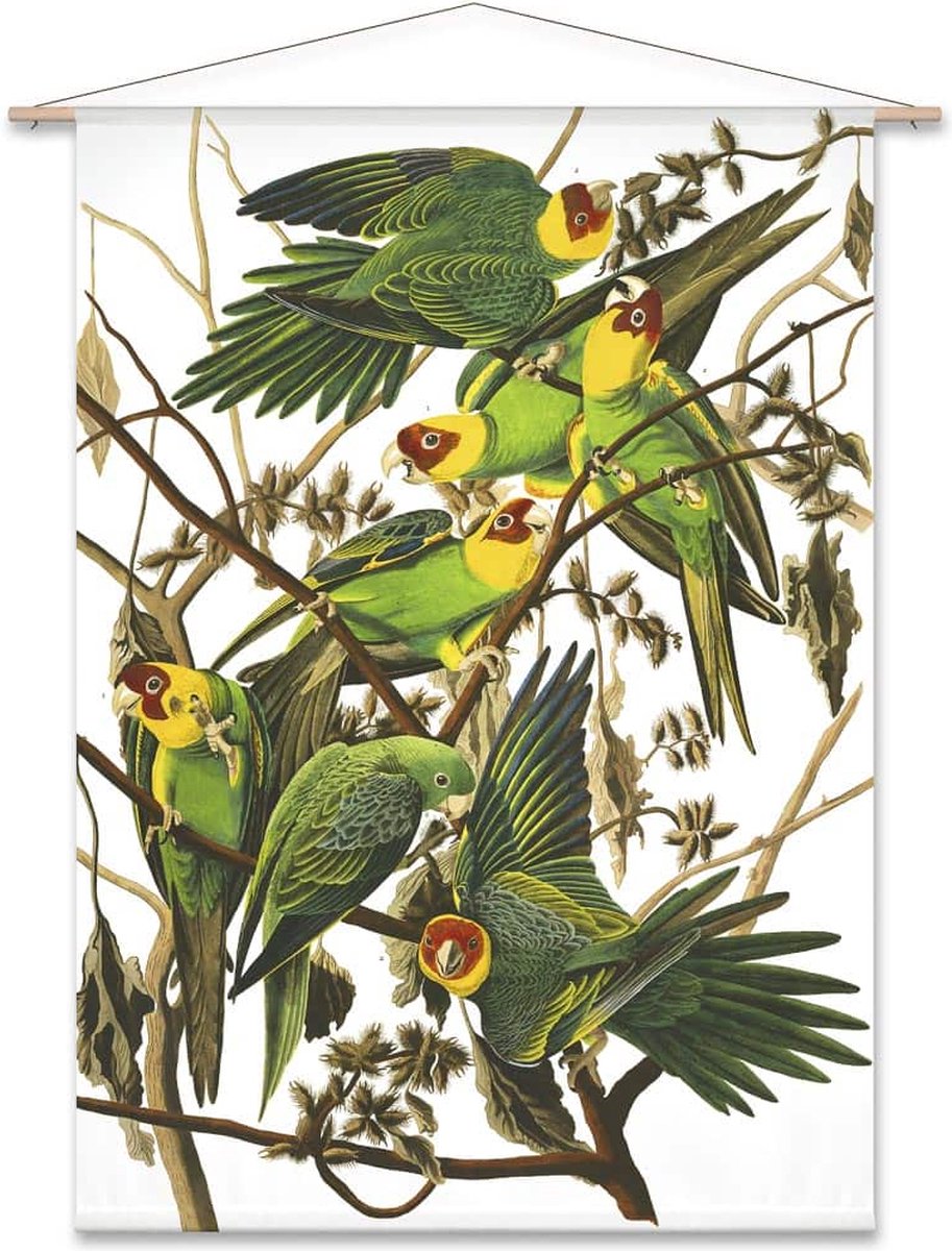 Wanddoek Dwergpapegaaien van John James Audubon (zonder houten stokken)