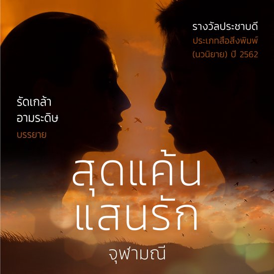 สุดแค้นแสนรัก - cover