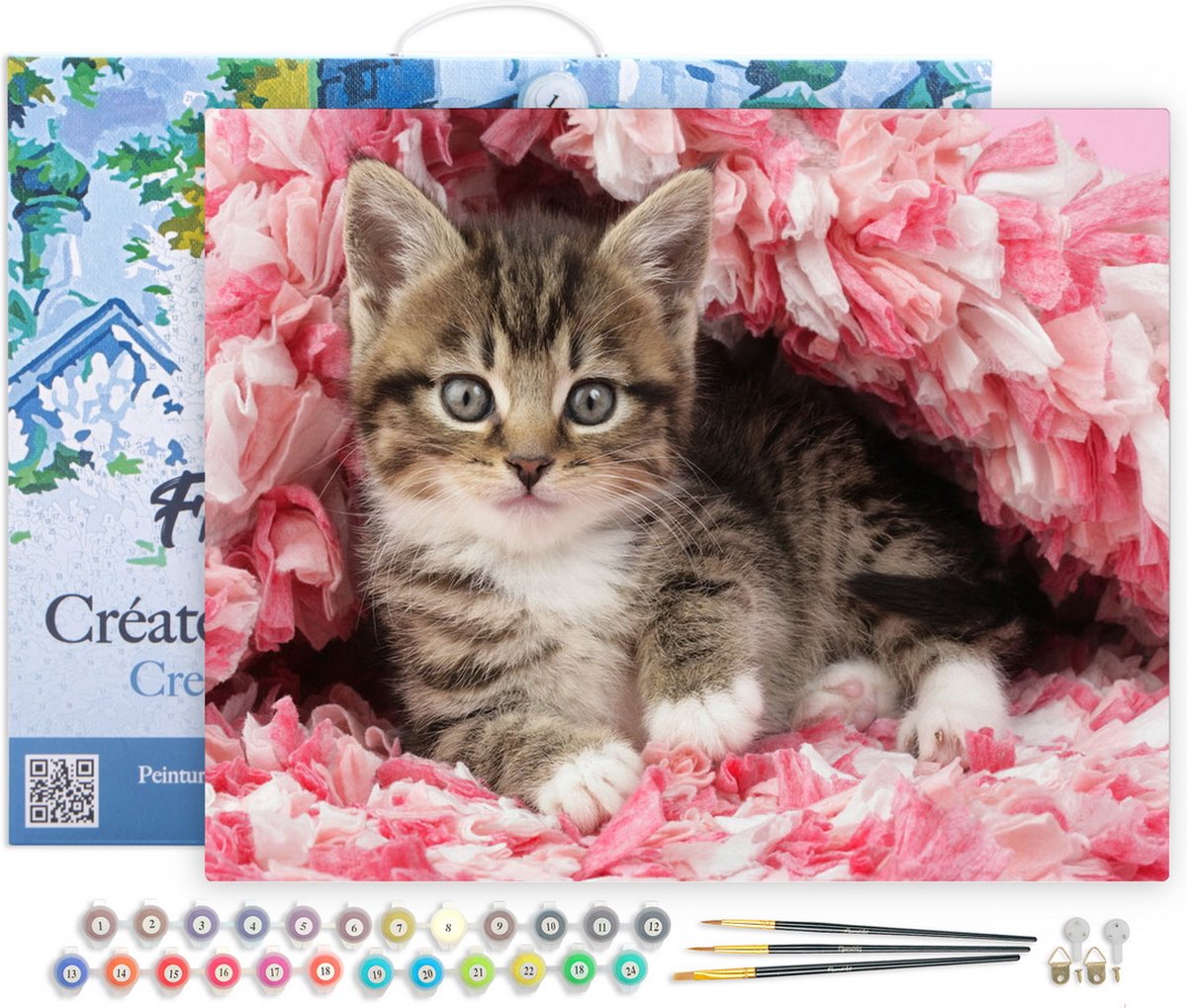 Figured'Art Schilderen op Nummer Volwassenen met lijst - Gecoat katje - Handwerk acrylverf Kit DIY Compleet - 40x50cm Canvas al ingelijst