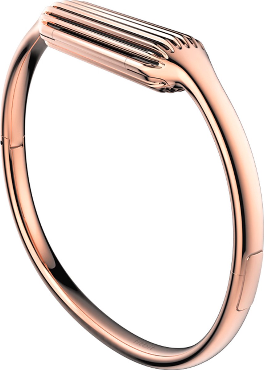 Fitbit flex 2 silver bangle hotsell