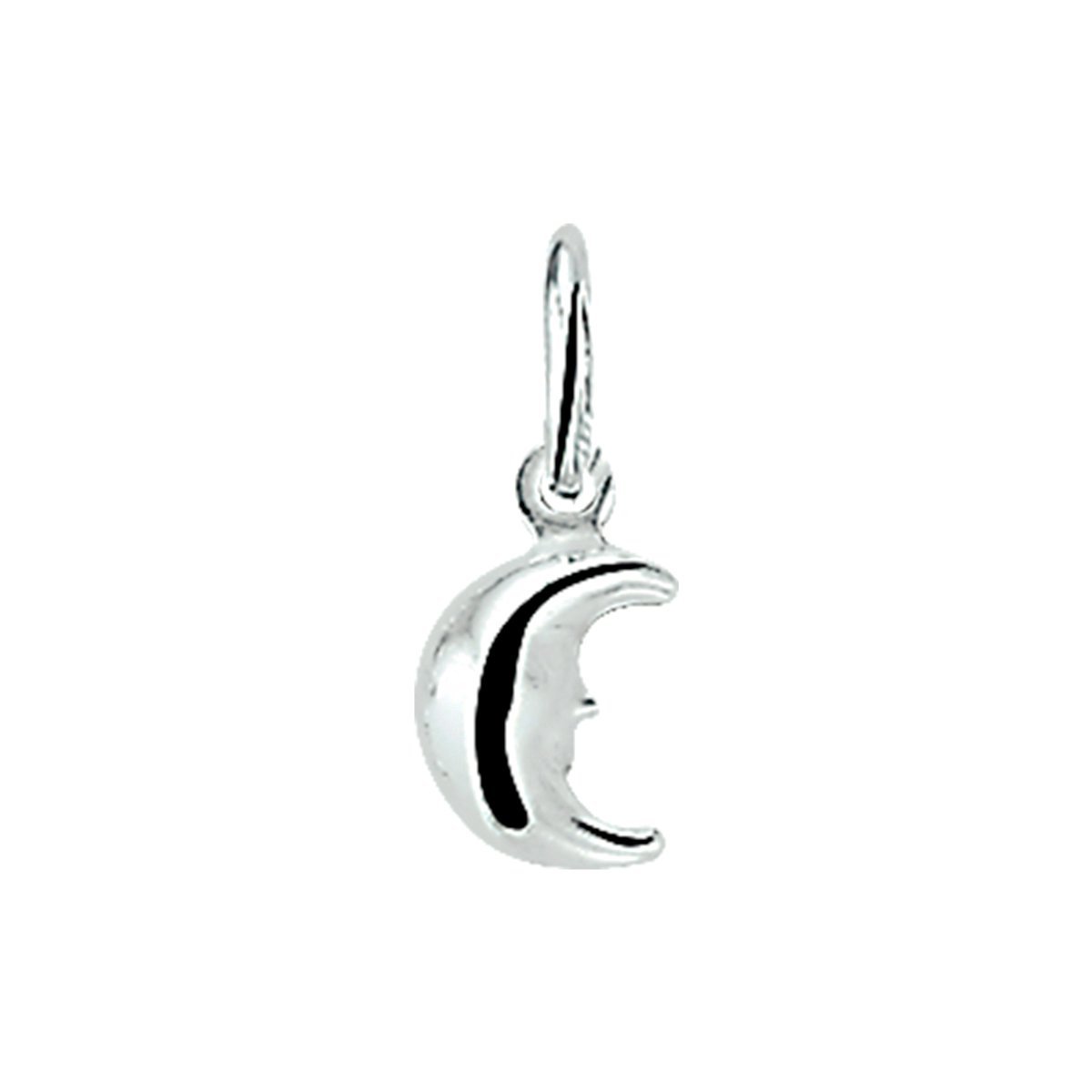 Zilveren Hanger maan 1003269