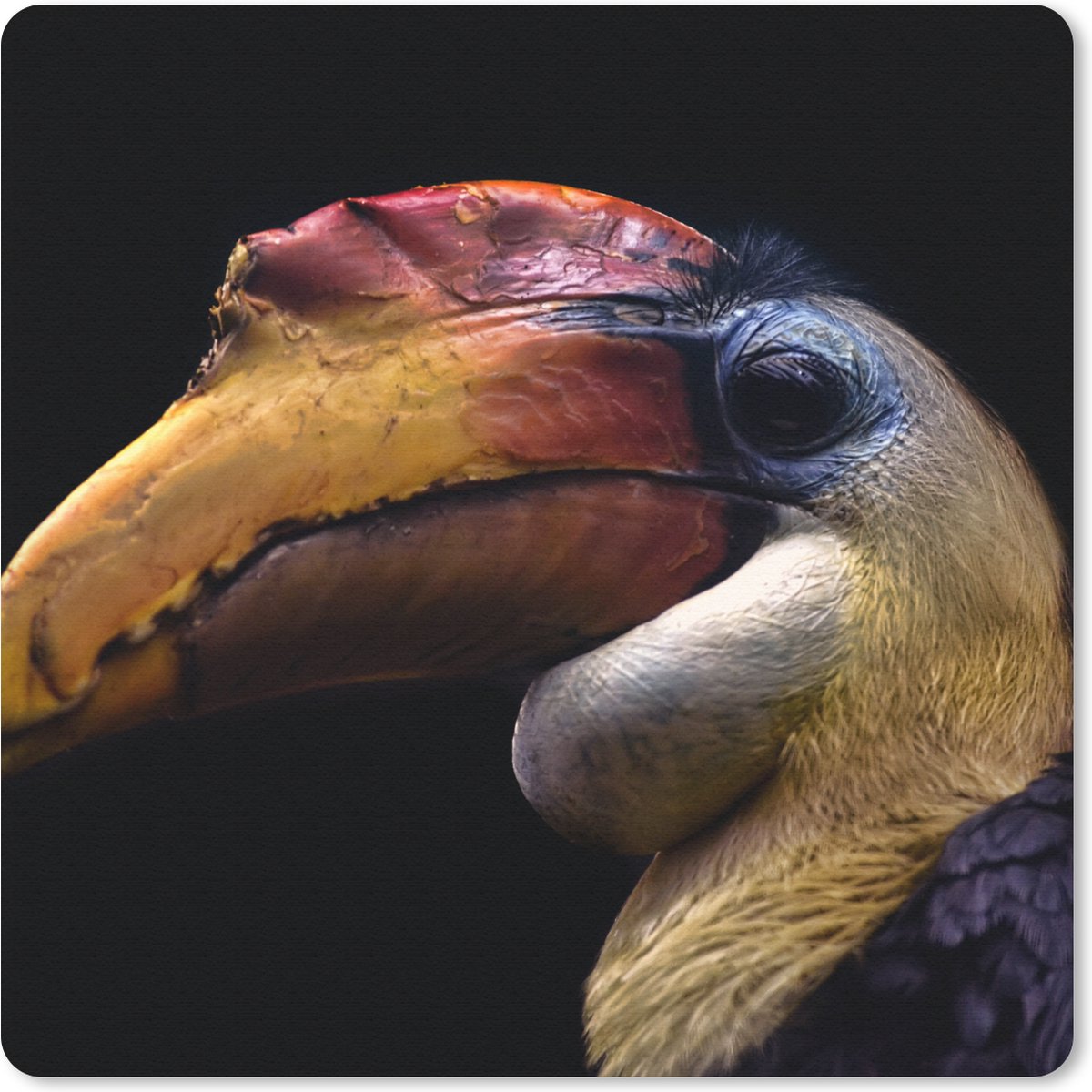 Muismat 30x30 cm - Mousepad Vogel - Snavel - Zwart - Muismatten
