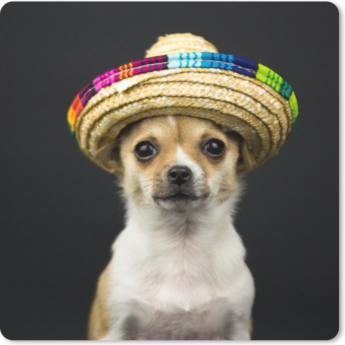 Muismat 30x30 cm - Mousepad Hond - Sombrero - Zwart - Muismatten