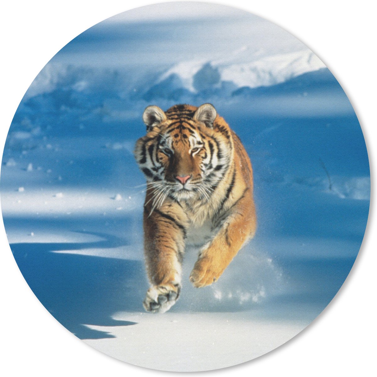 Muismat rond 30x30 cm - Mousepad Tijger - Sneeuw - Rennen - Ronde muismatten