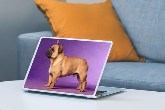 Sticker pour ordinateur portable - 10,1 pouces - Bouledogue français avec un fond violet