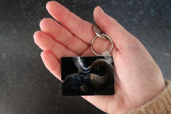 Porte-clés - Éléphant - Water - Trompe - Animaux - Nature - Cadeaux - Plastique