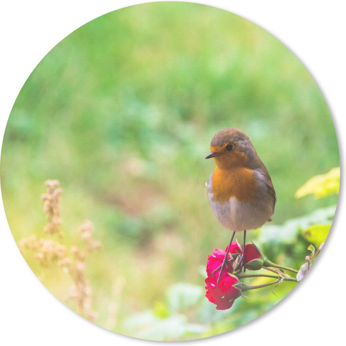Muismat rond 40x40 cm - Mousepad Roodborst - Roos - Rood - Ronde muismatten