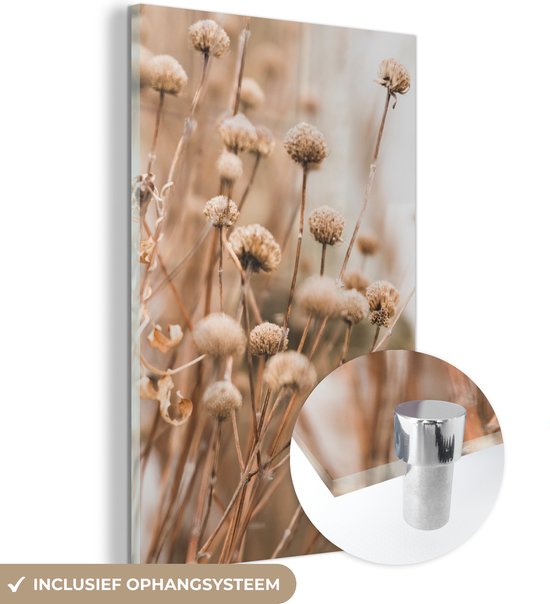 MuchoWow® Peinture sur verre 80x120 cm - Peinture sur verre acrylique - Fleurs séchées - Beige - Fleurs - Nature - Photo sur verre - Décoration murale salon - Décoration murale chambre - Peintures