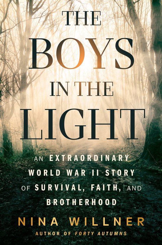 The Boys in the Light - cover