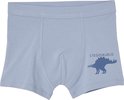 Lichtblauwe boxer met een donkerblauwe Stegosaurus-print rechts.